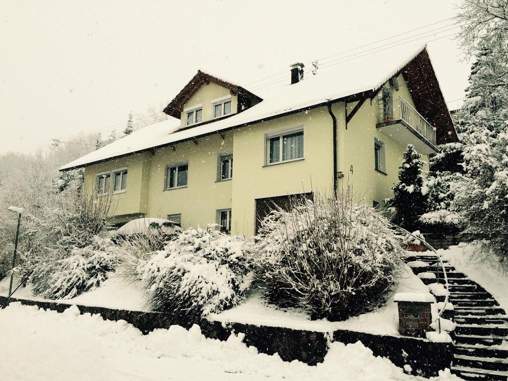 Ferienwohnung Dieterle Wutoschingen ห้อง รูปภาพ